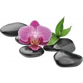 Vinilo decorativo guijarros orquídea