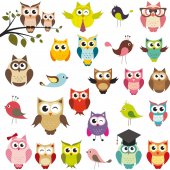 Kit Vinilo decorativo infantil búhos con aves