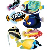 Kit Vinilo decorativo infantil pescado