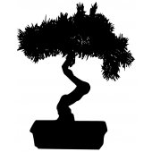 Vinilo decorativo Bonsai