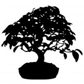 Vinilo decorativo Bonsai