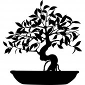 Vinilo decorativo Bonsai