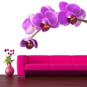 Vinilo decorativo orquídea