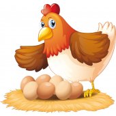 Vinilo infantil gallina