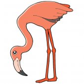 Vinilo infantil Pink Flamingo