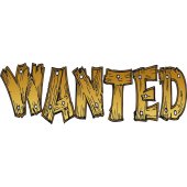 Vinilo infantil wanted