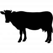 Vinilo Pizarra vaca