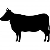 Vinilo Pizarra vaca