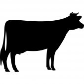 Vinilo Pizarra vaca